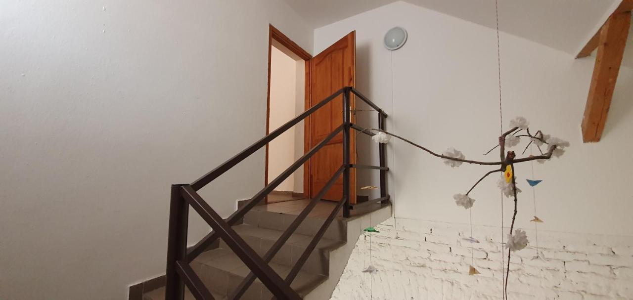 Romzsa Todor Kollegium Hostel Seghedin Exterior foto