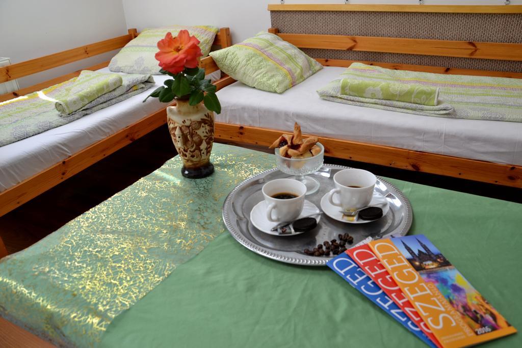 Romzsa Todor Kollegium Hostel Seghedin Exterior foto